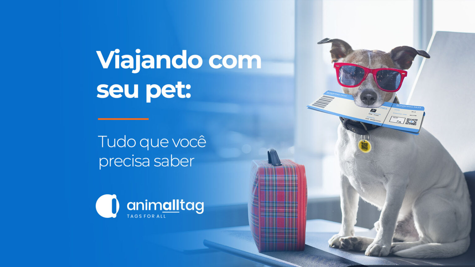 viajar com animal de estimação